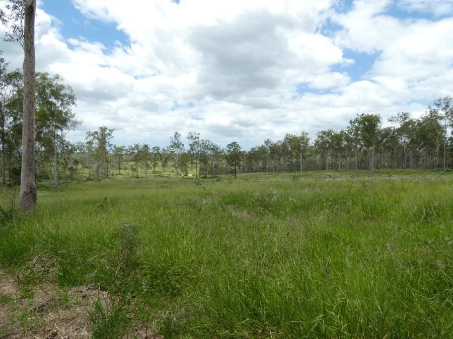 Additional image 19 of Lot 43 Moolyung Road, Waterloo QLD 4673