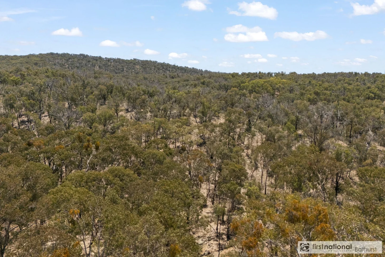 Additional image 6 of 227 Alpha Road, Tambaroora NSW 2850