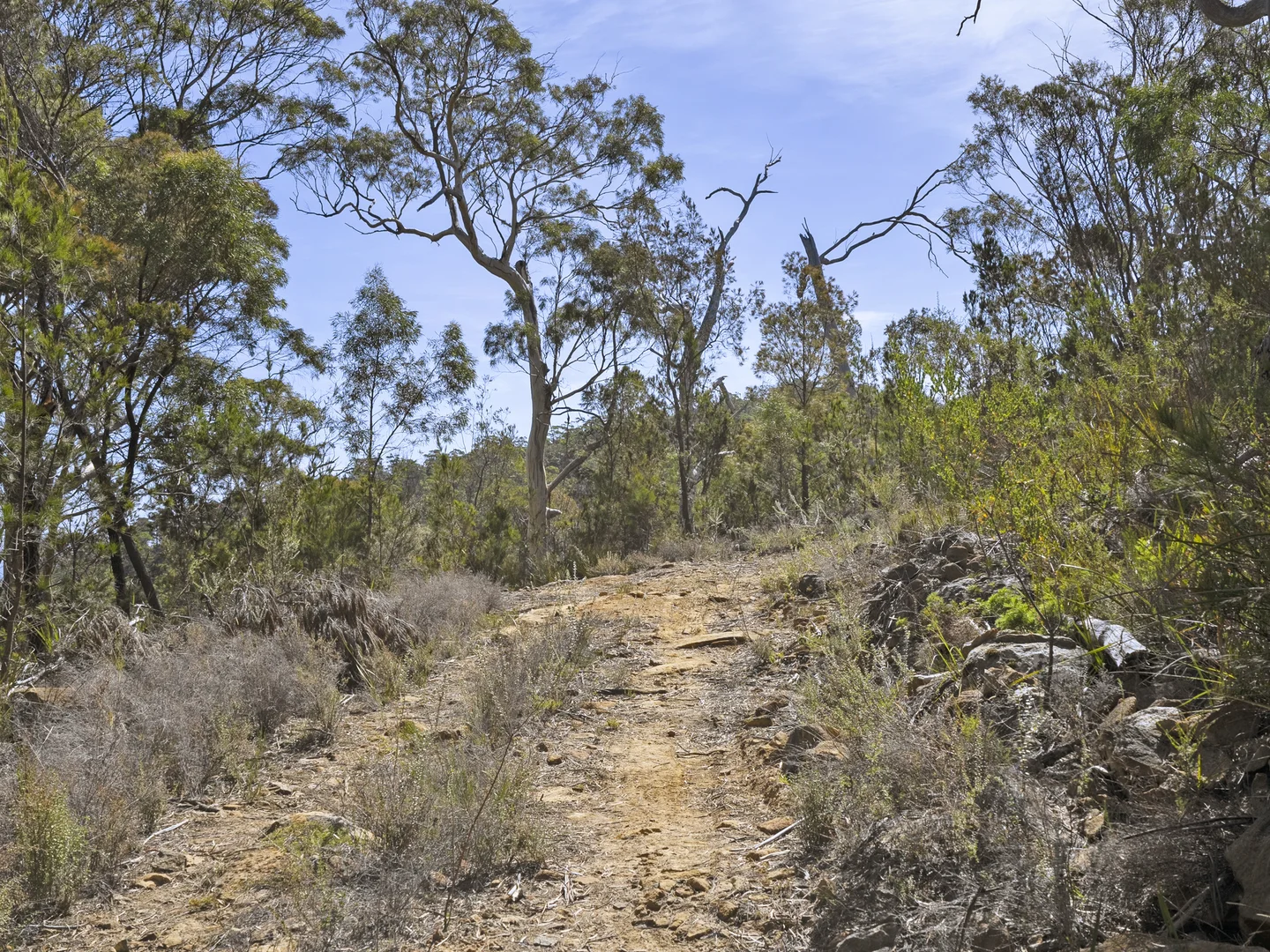 Additional image 14 of 2 and 3 White Beach Road, White Beach TAS 7184