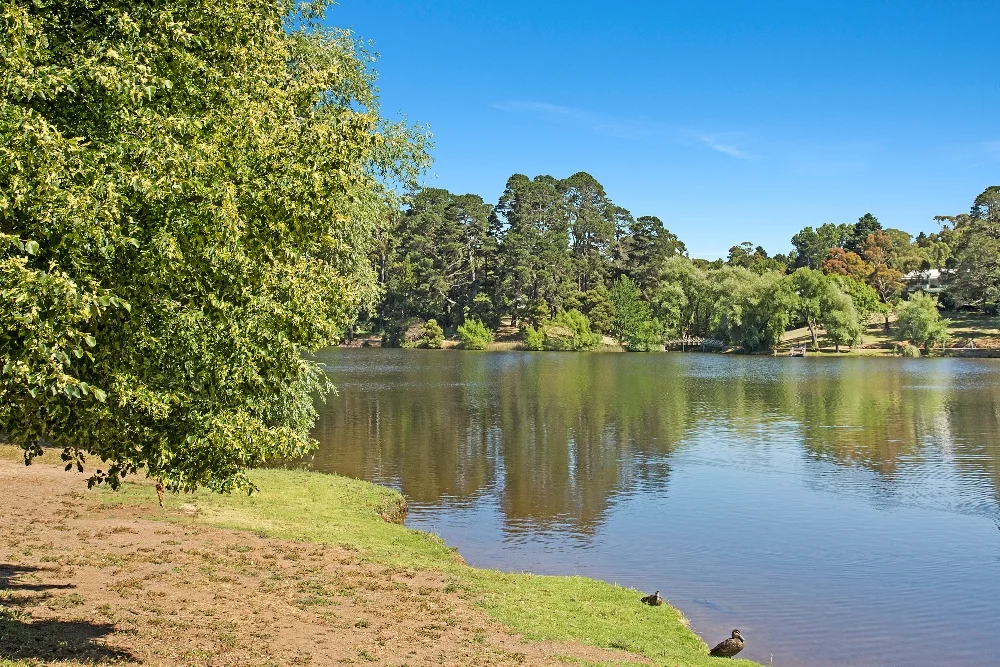 Additional image 25 of 1 Albert Lane, Daylesford VIC 3460