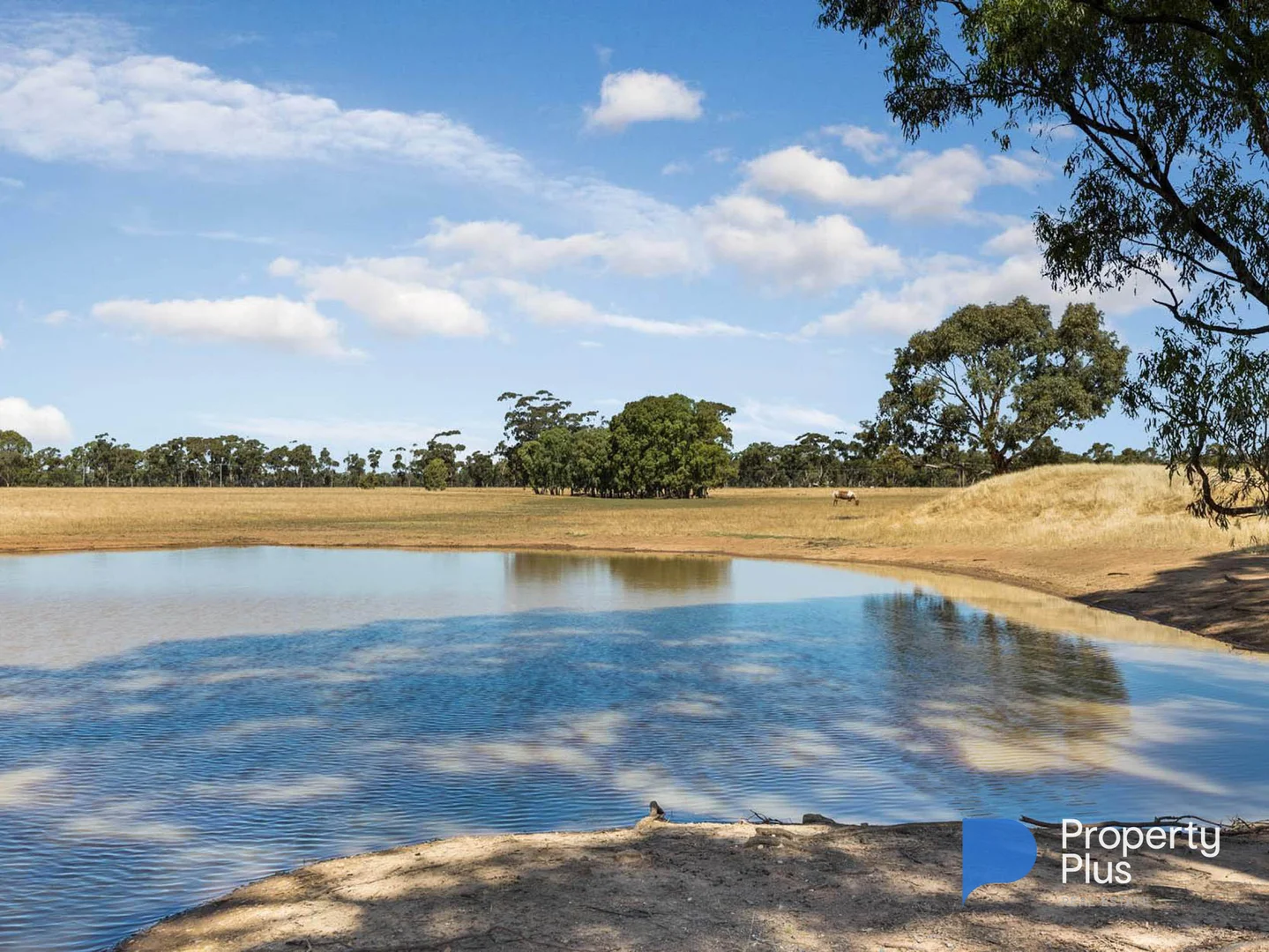 Additional image 13 of 135 Calder Highway, Charlton VIC 3525