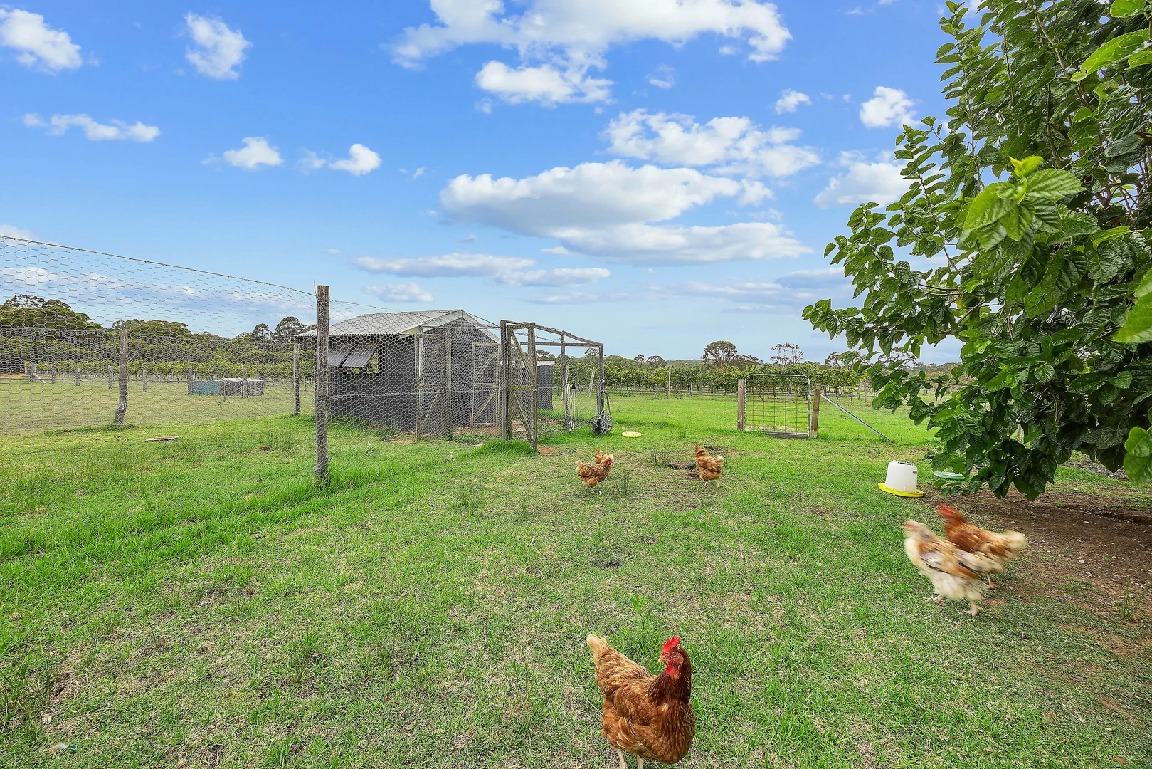 Additional image 31 of 168 Lomas Lane, Nulkaba NSW 2325