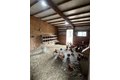 Additional image 18 of 9576 State Route 161 Ext, Iuka, IL, 62849