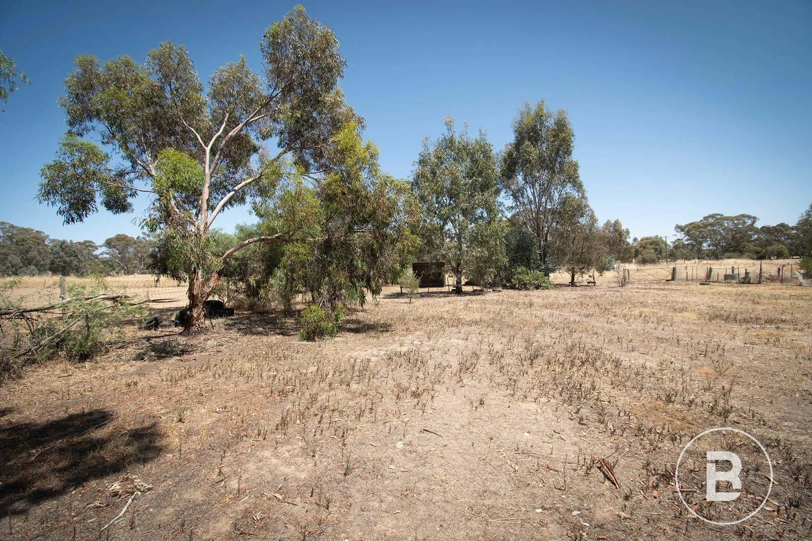 Additional image 8 of 585 Timor Road, Timor VIC 3465