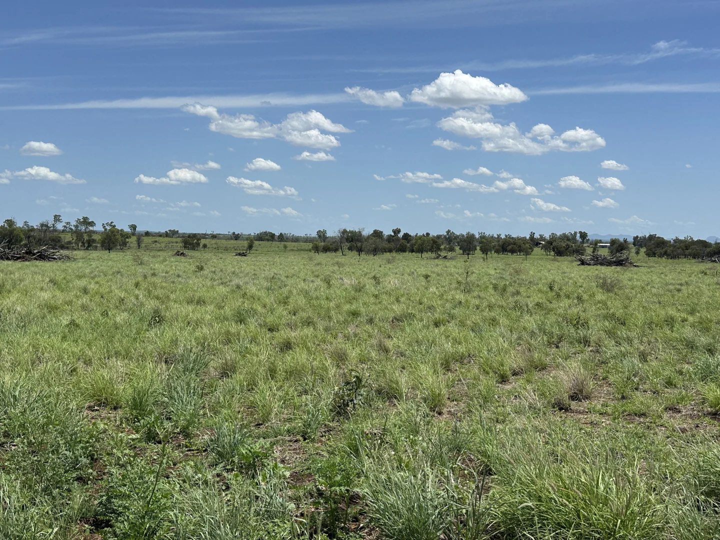 Additional image 13 of Malvern Road, Capella QLD 4723
