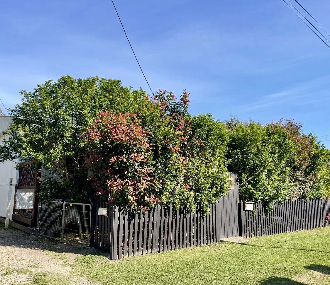 Additional image 3 of 76 Moonee Street, Coffs Harbour NSW 2450