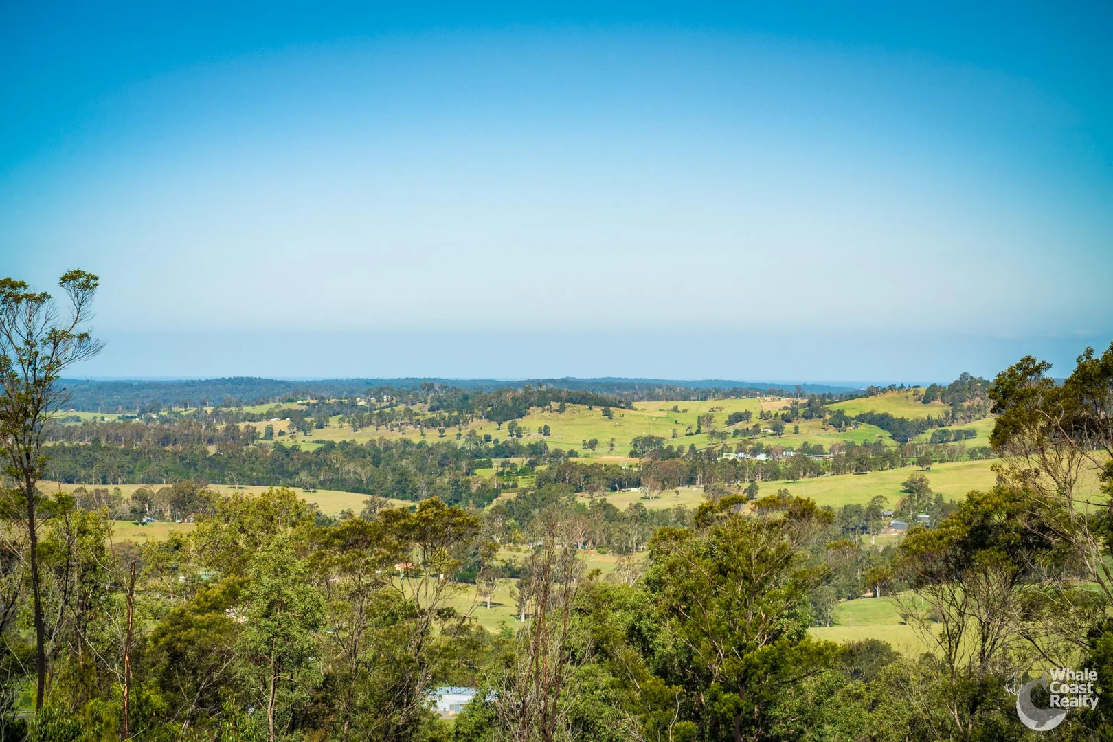 Additional image 19 of Lot 22 Barrabaroo Road, Cobargo NSW 2550