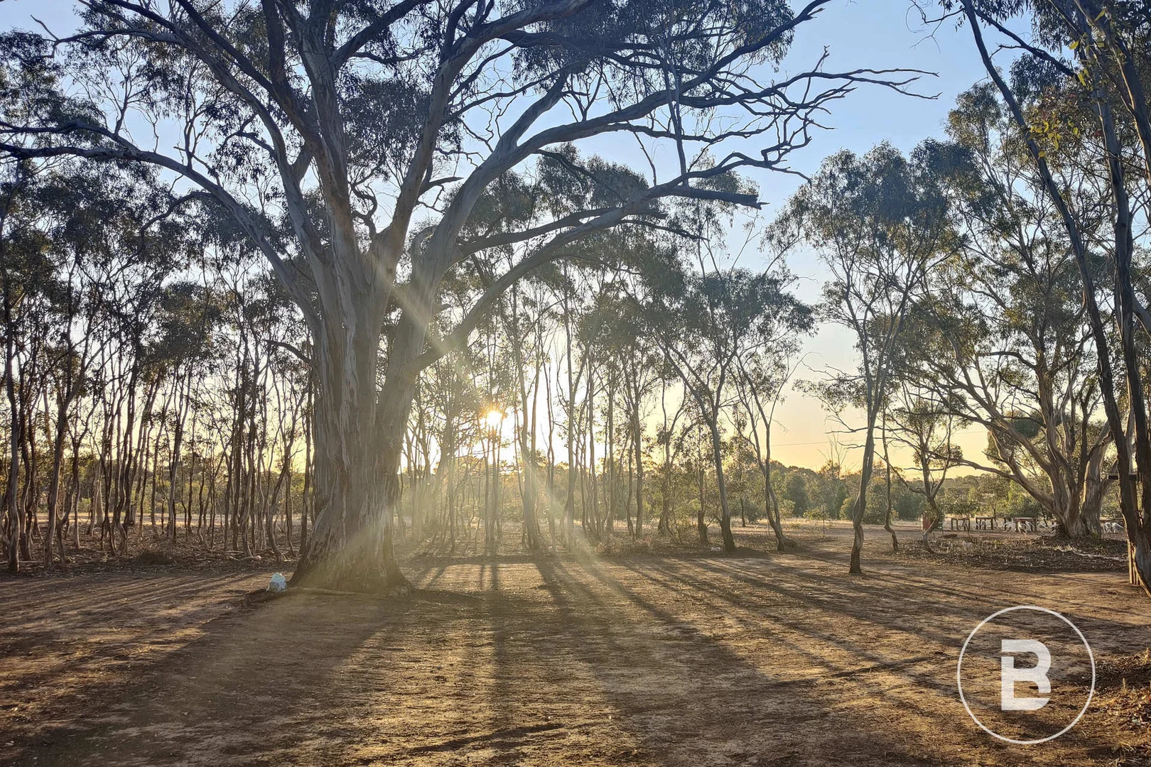 Additional image 12 of 107 Glenisters Gap Road, Navarre VIC 3384