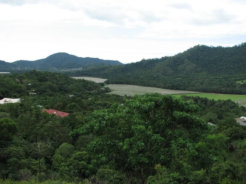 Additional image 5 of 29-31 Mount William Close, Redlynch QLD 4870