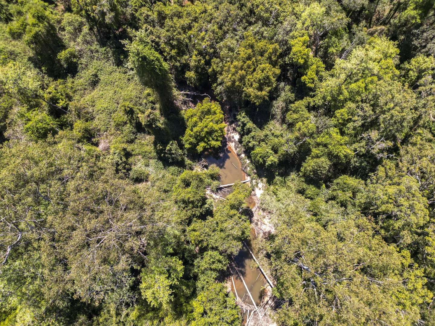 Additional image 23 of 475 Elliotts Road, Myrtle Creek NSW 2469