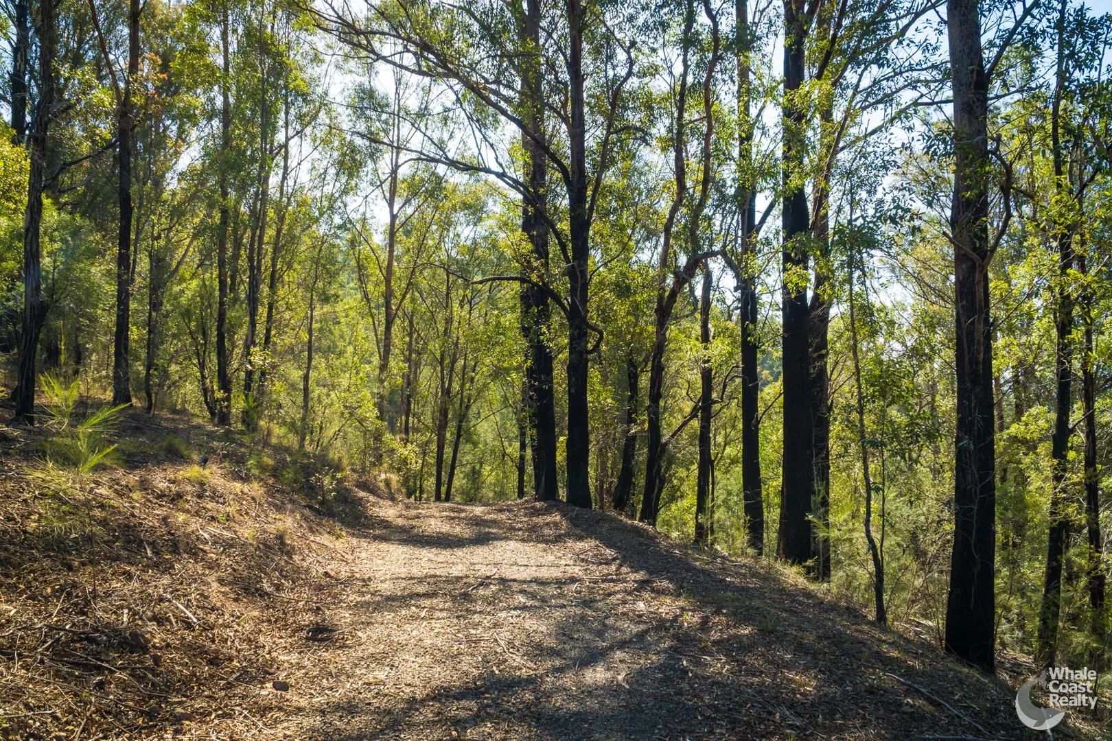 Additional image 23 of Lot 22 Barrabaroo Road, Cobargo NSW 2550