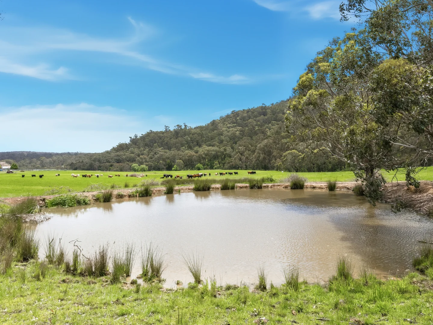 Additional image 30 of 829 Paradise Falls Road, Cheshunt VIC 3678