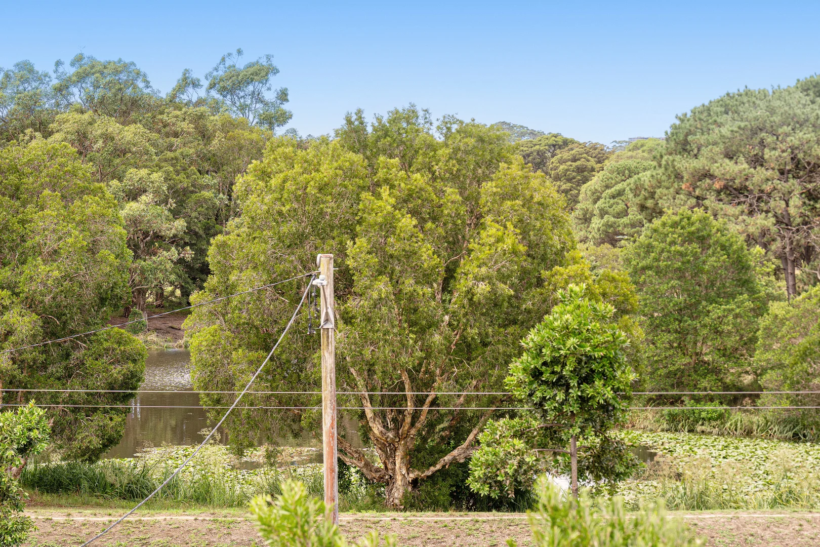 Additional image 7 of 5/1 Alison Road, Kensington NSW 2033