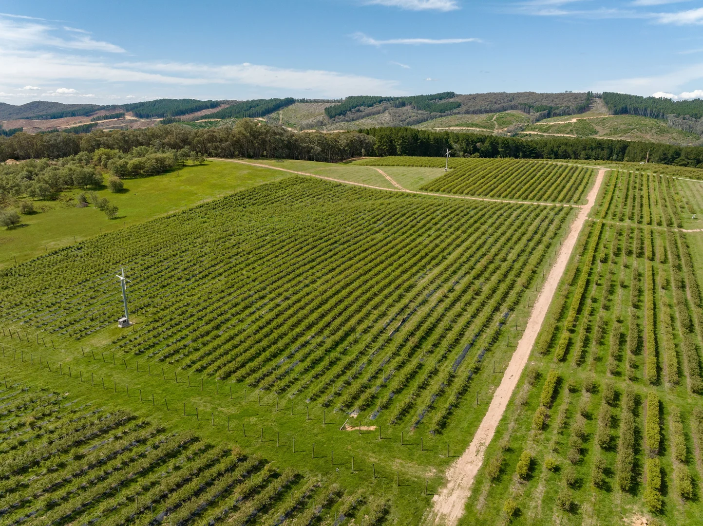 Additional image 6 of Courabyra NSW 2653