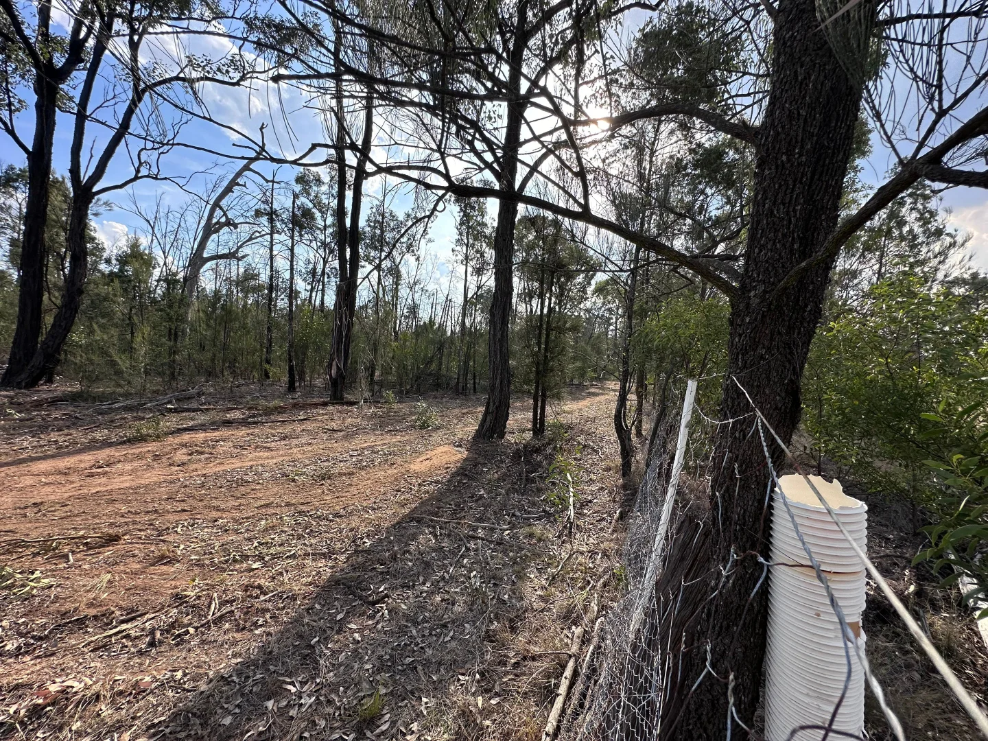 Additional image 27 of 15778 Surat Development Road, Goranba QLD 4421