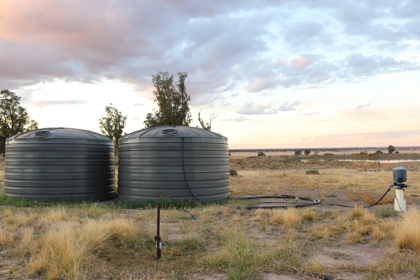 Additional image 32 of 877 Mount Tallabung Road, Forbes NSW 2871