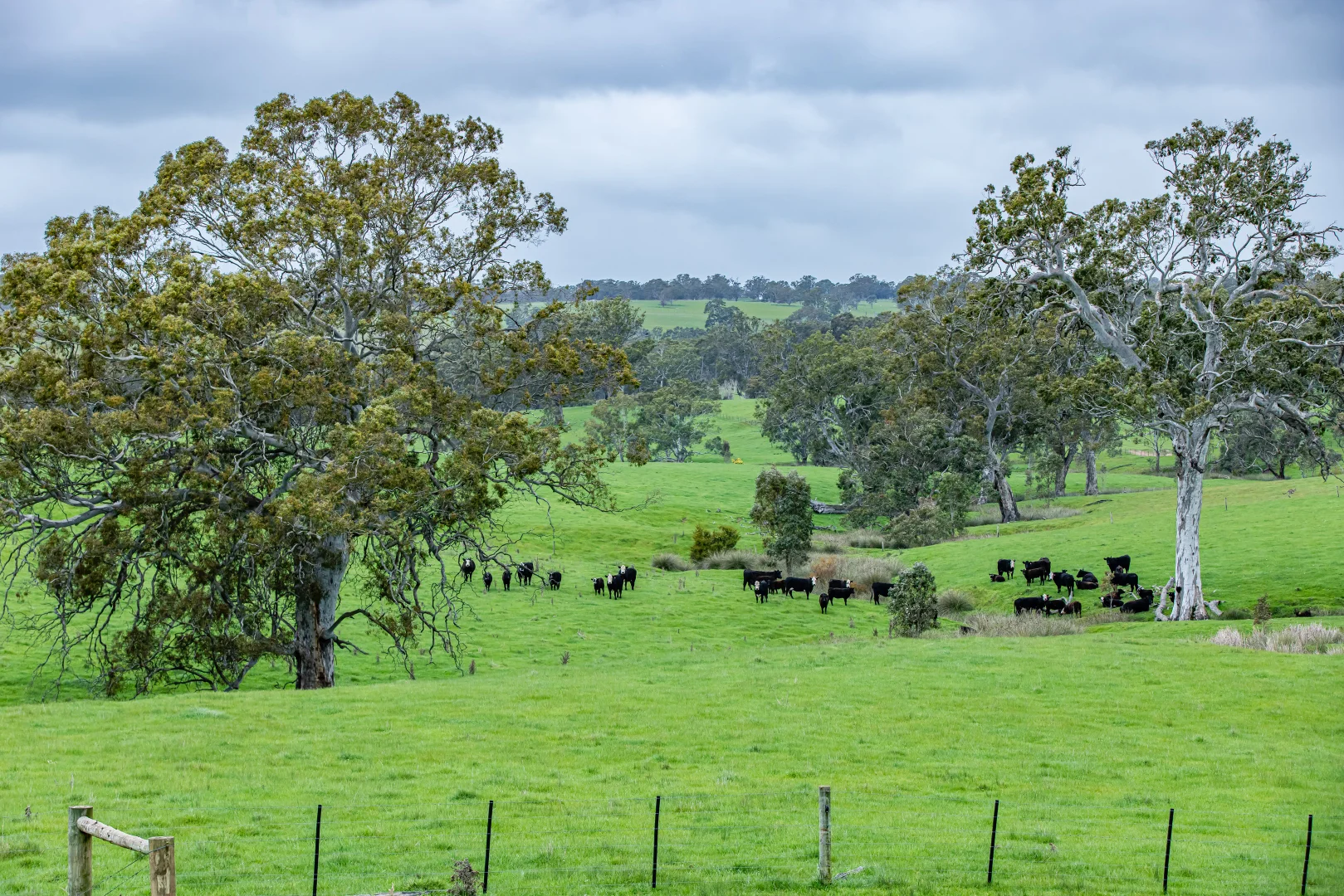 Additional image 10 of 3155 Casterton-Edenhope Road, Chetwynd VIC 3312