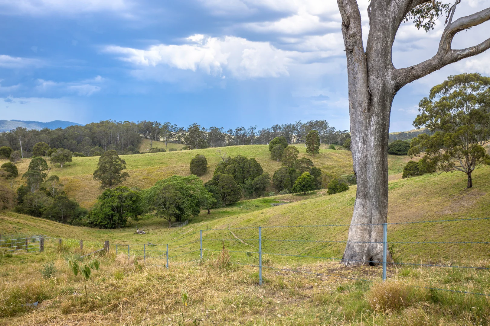 Additional image 29 of 129 Days Road, Belbora NSW 2422