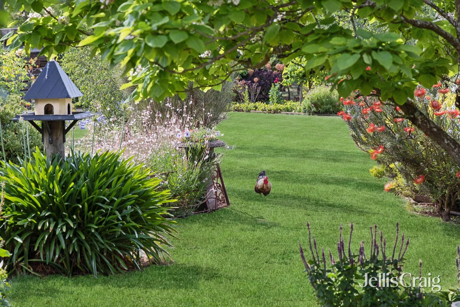 Additional image 7 of Black Cat Truffles Howards Road, Wattle Flat VIC 3352