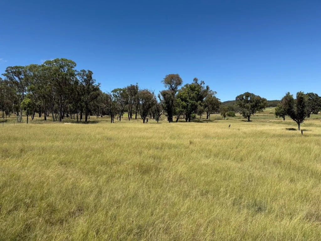 Additional image 6 of Lot 4 / 132 Eukey Road, Stanthorpe QLD 4380