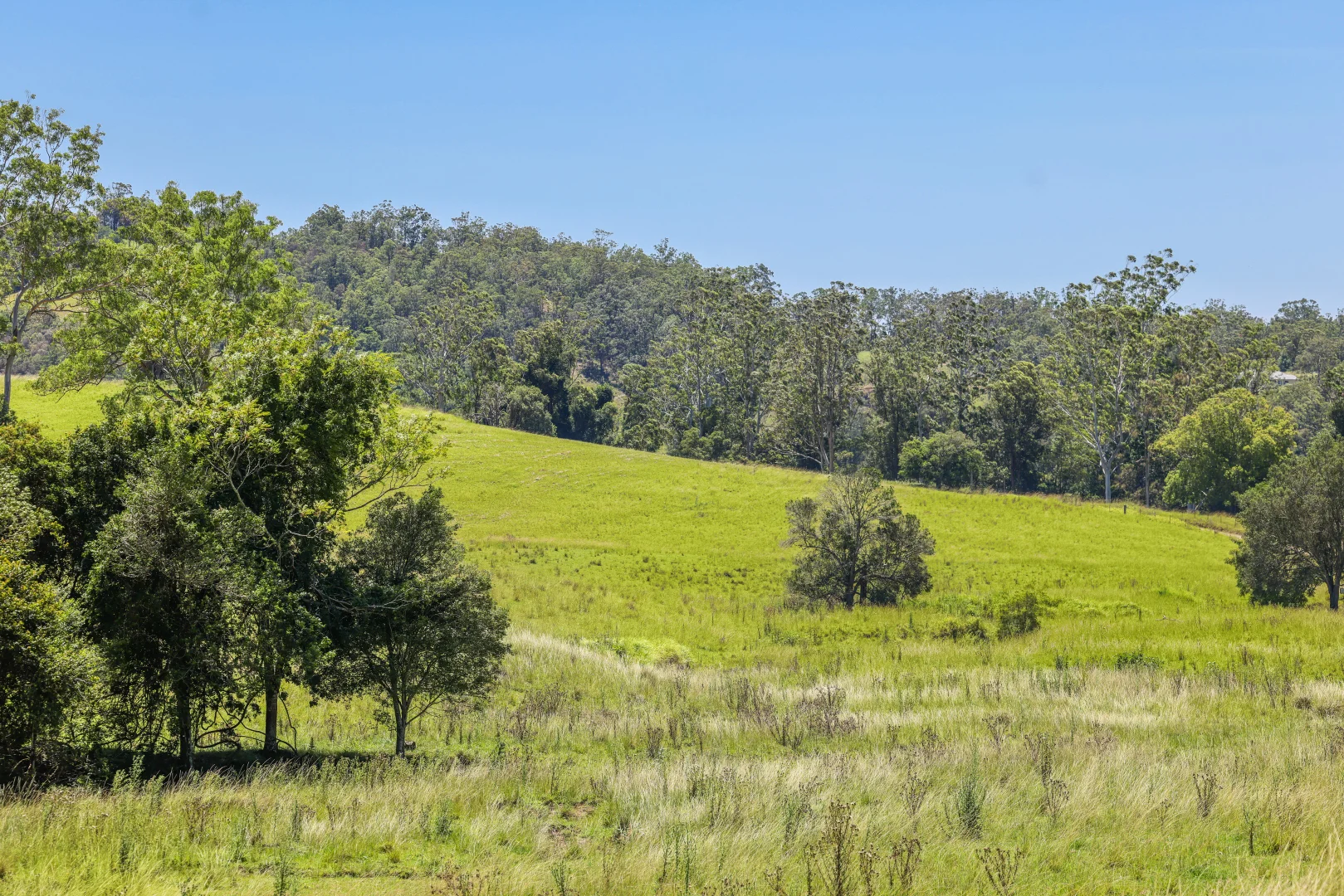 Additional image 15 of 55 Argues Rd, Upper Taylors Arm NSW 2447