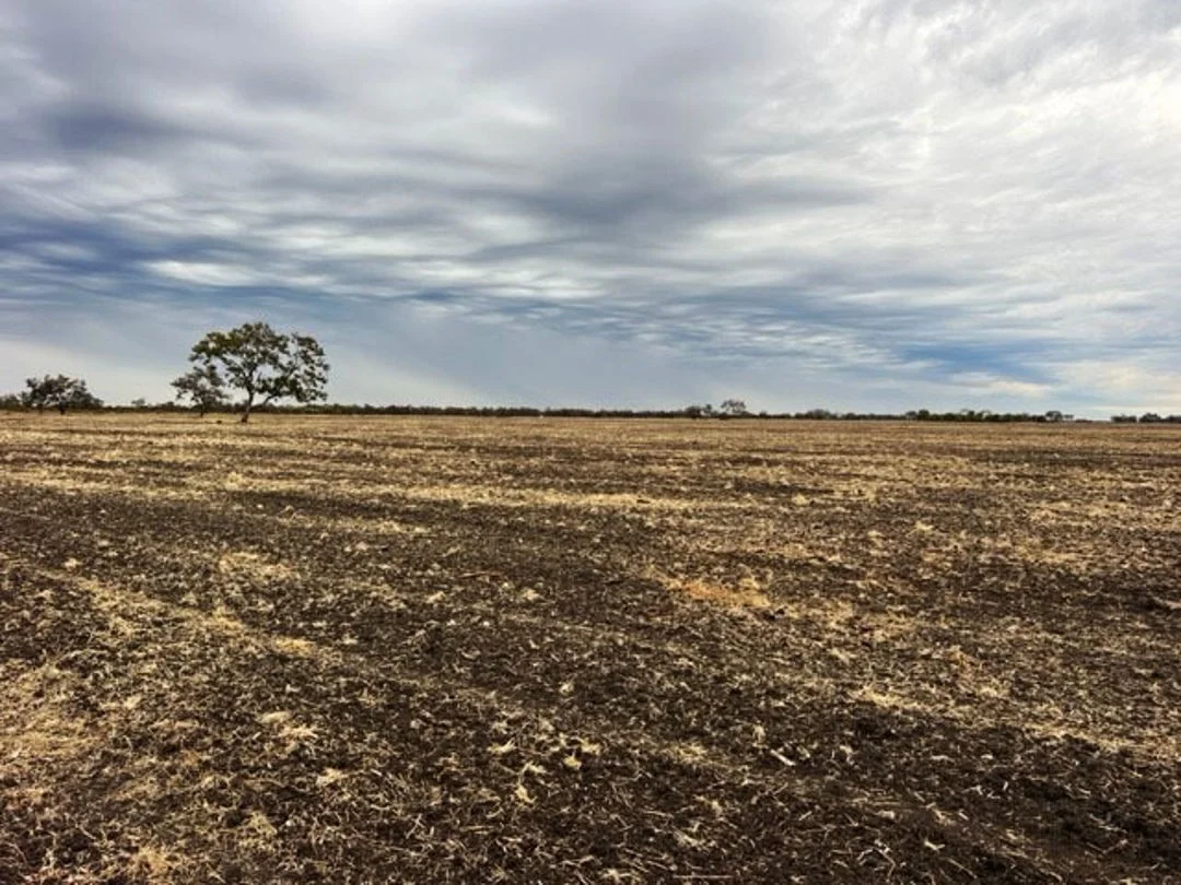 Additional image 6 of "Duffs Lea", Rowena NSW 2387