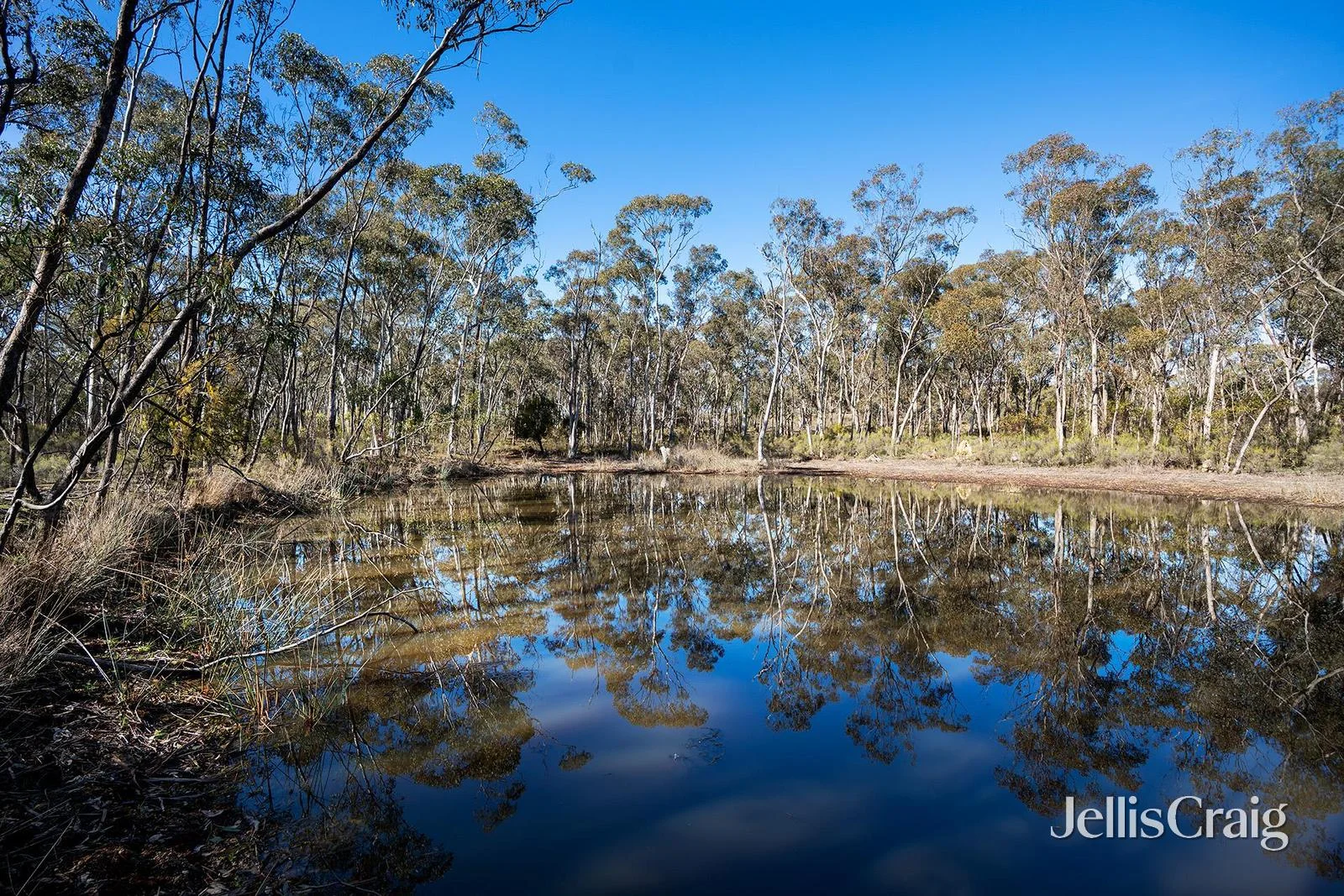 Additional image 3 of 536 Muckleford-Castlemaine Road, Muckleford VIC 3451