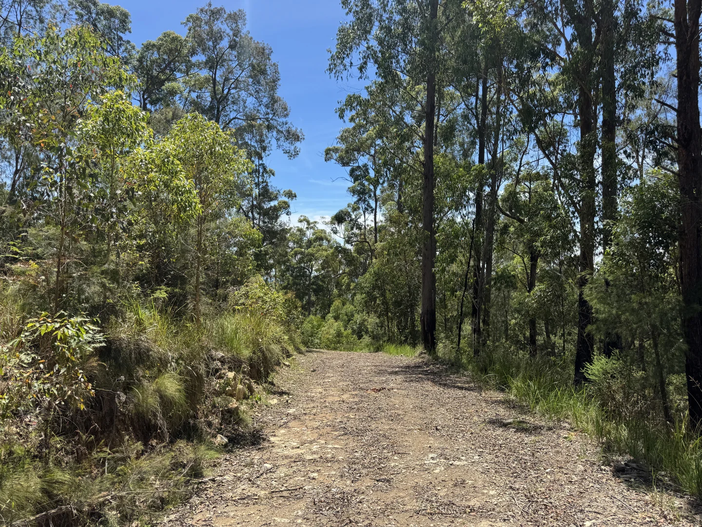 Additional image 9 of 191 Sheepstation Creek Road, Dundurrabin NSW 2453