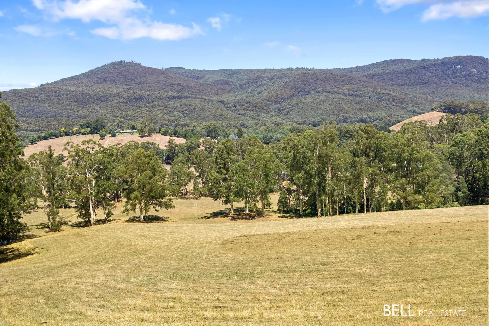 Additional image 14 of 1115 Little Yarra Road, Three Bridges VIC 3797