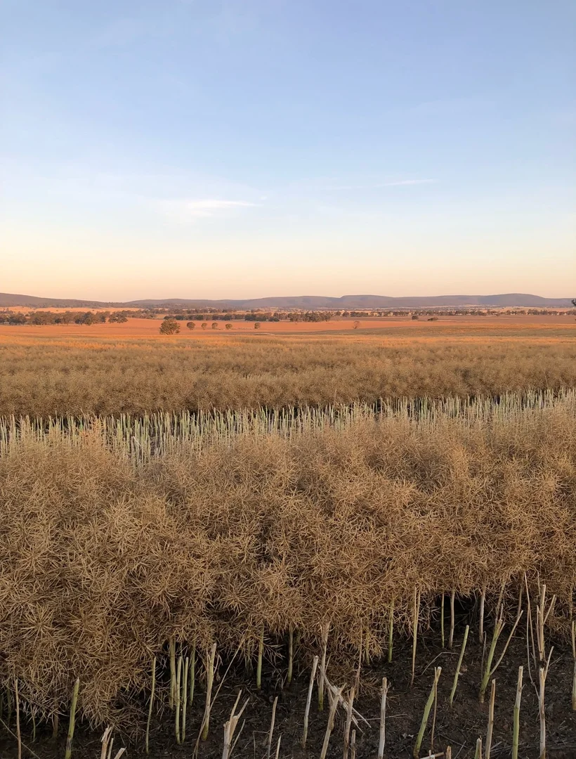 Additional image 26 of 861 Kadina Road, Parkes NSW 2870