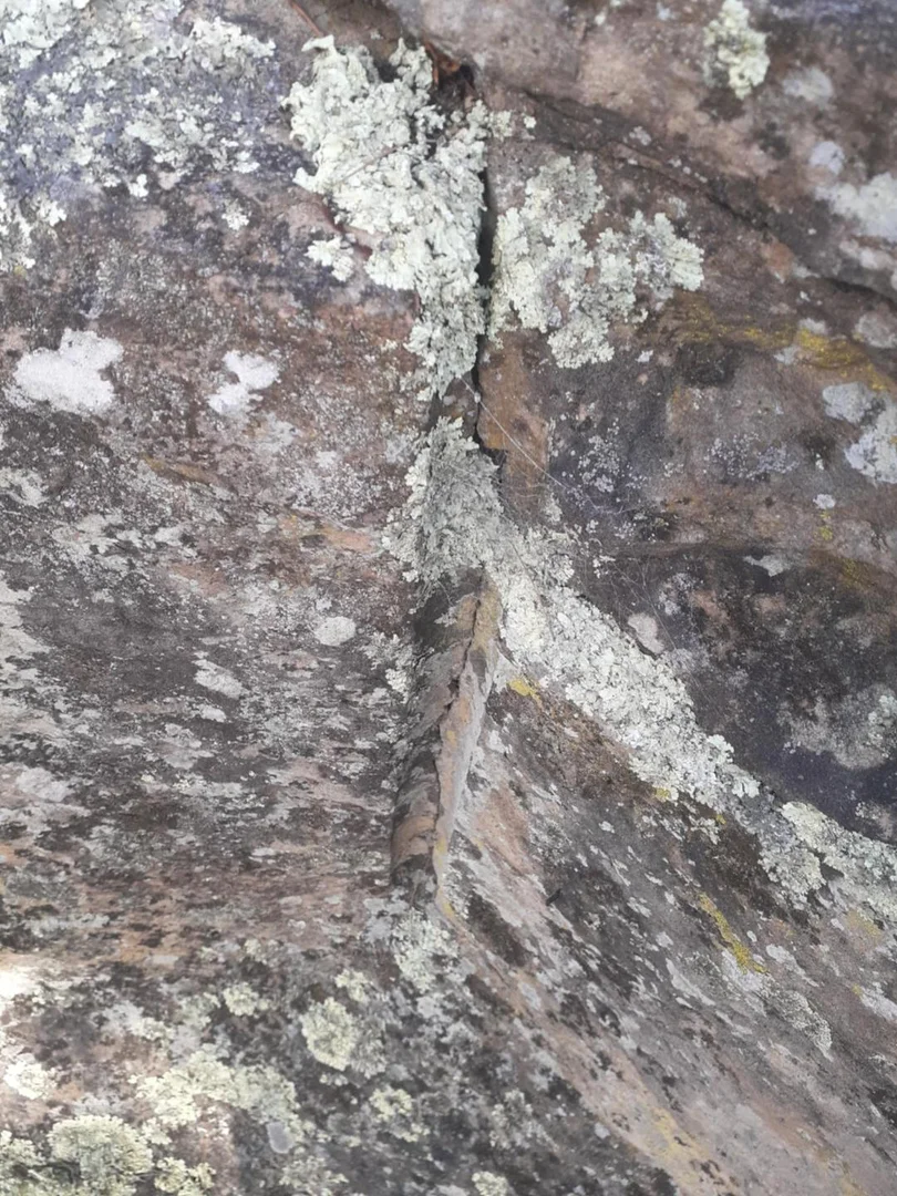 Additional image 13 of 1356 Tea Tree Rd, Campania TAS 7026