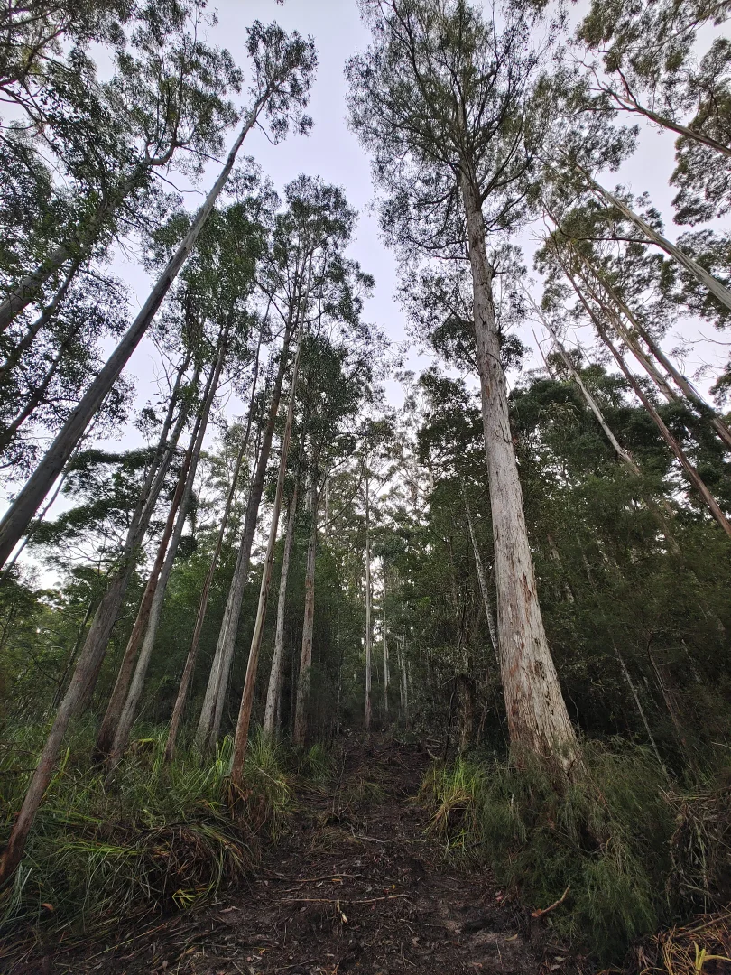 Additional image 11 of 6744 Arthur Highway, Port Arthur TAS 7182