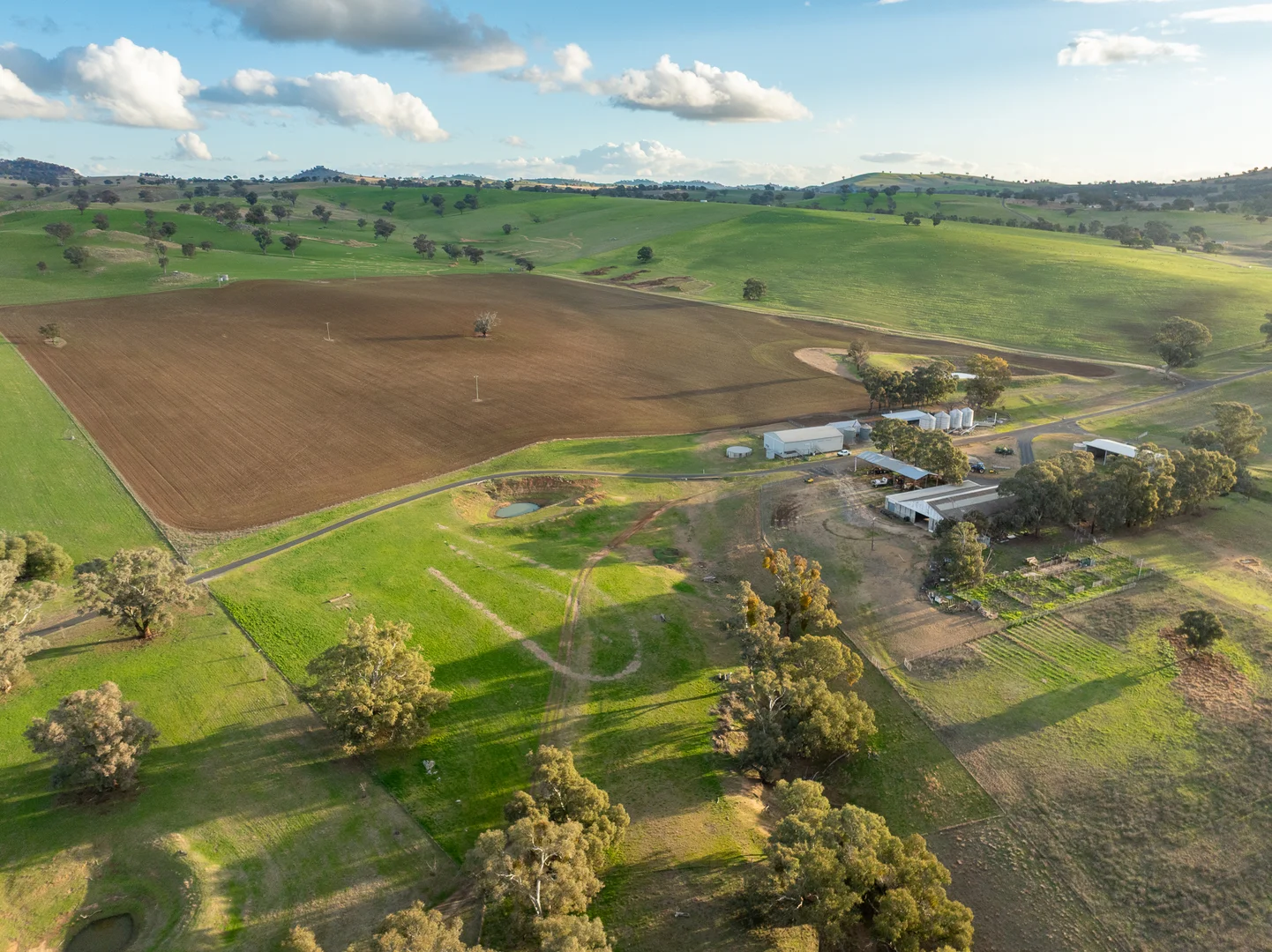 Additional image 5 of 1507 Pine Mount Road, Woodstock NSW 2793