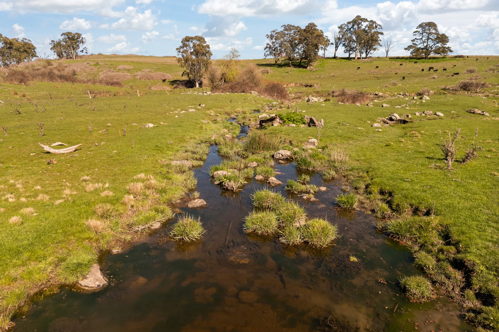 Additional image 3 of Millthorpe NSW 2798