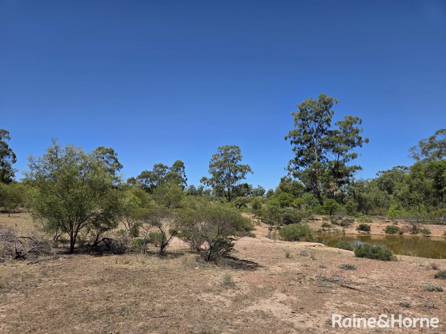 Additional image 30 of 647 Sweedmans Road, Limevale QLD 4384