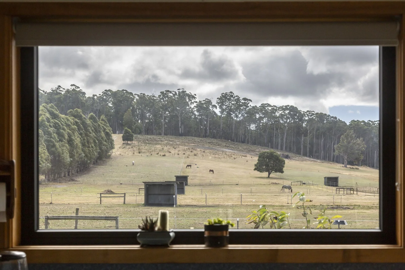 Additional image 11 of 5456 Bridport Road, Pipers River TAS 7252