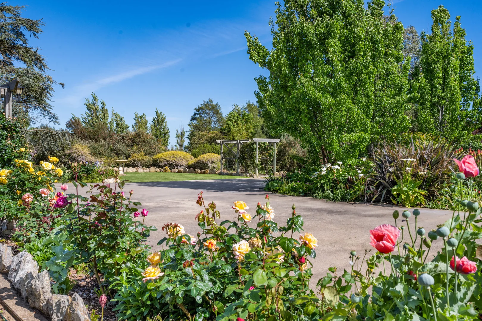 Additional image 6 of 14687 Riddoch Hwy, Coonawarra SA 5263