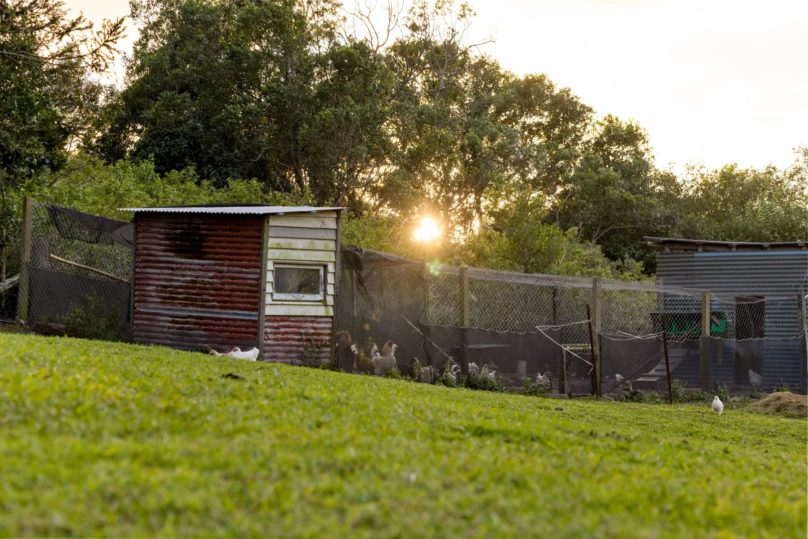 Additional image 36 of 306 Burgum Road, North Maleny QLD 4552