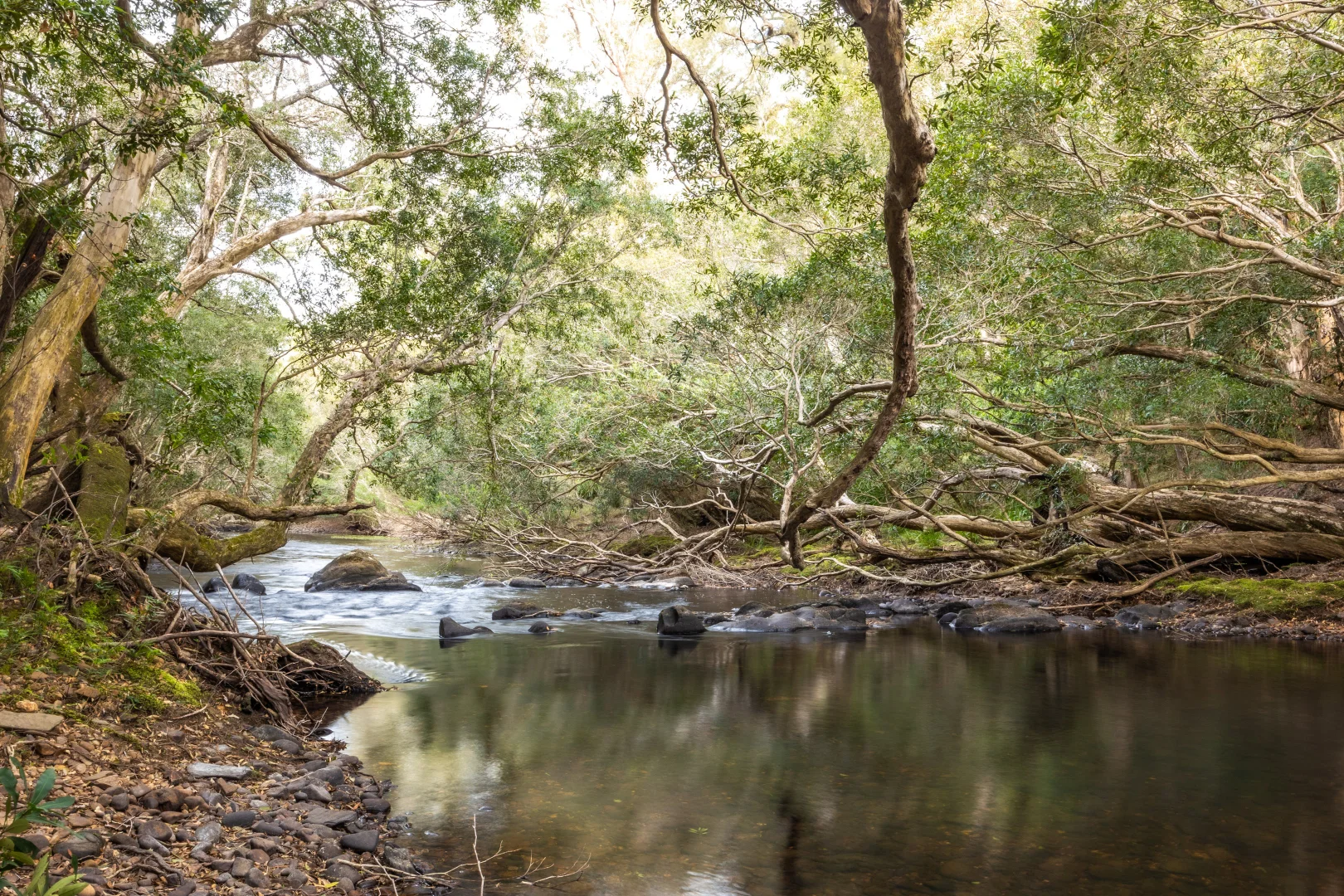 Additional image 5 of 56 Carisbrook Road, Morton NSW 2538