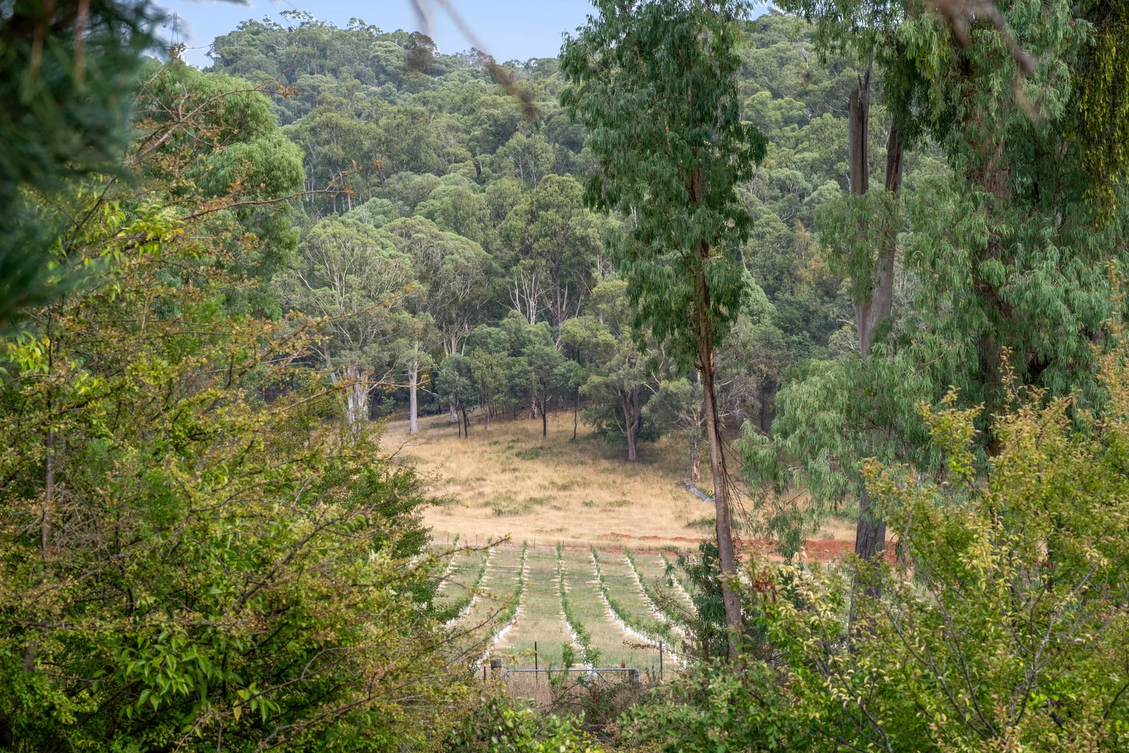 Additional image 7 of 3 Guy Court, Tawonga South VIC 3698