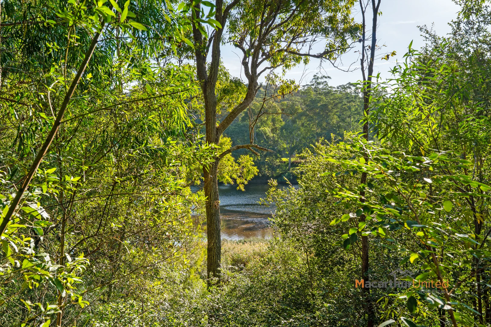 Additional image 12 of 5 Sheas Road, Mogood NSW 2538