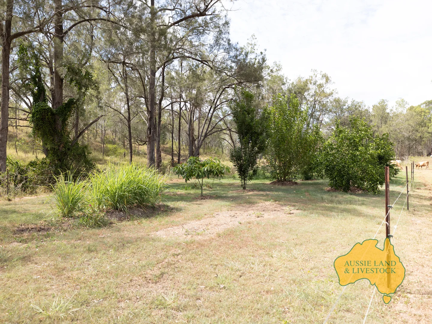 Additional image 16 of 43 & 50, . Kalliwa Road, Mingo QLD 4625