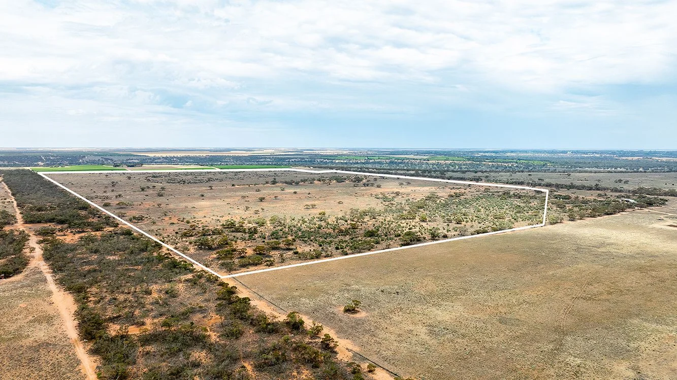 Additional image 4 of Section 83 Devlins Pound Road, Pooginook SA 5330