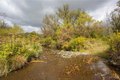 Additional image 36 of 5029 Humphrey Rd, Great Valley, NY, 14741
