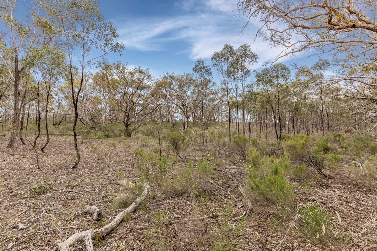 Additional image 2 of Lot 2/135 Chamberlain Road, Cornella VIC 3551