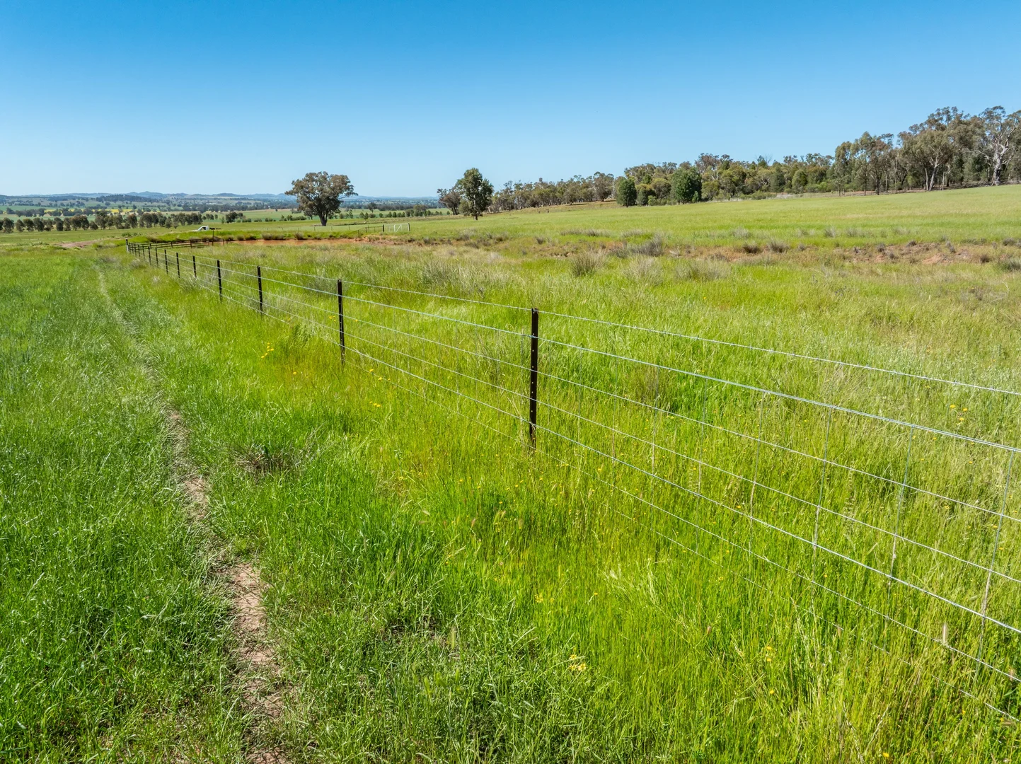 Additional image 38 of 92 Campbells Lane, Canowindra NSW 2804