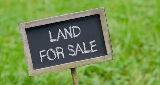 Additional image 2 of Lot 13/10 Tenth Ave, Austral NSW 2179