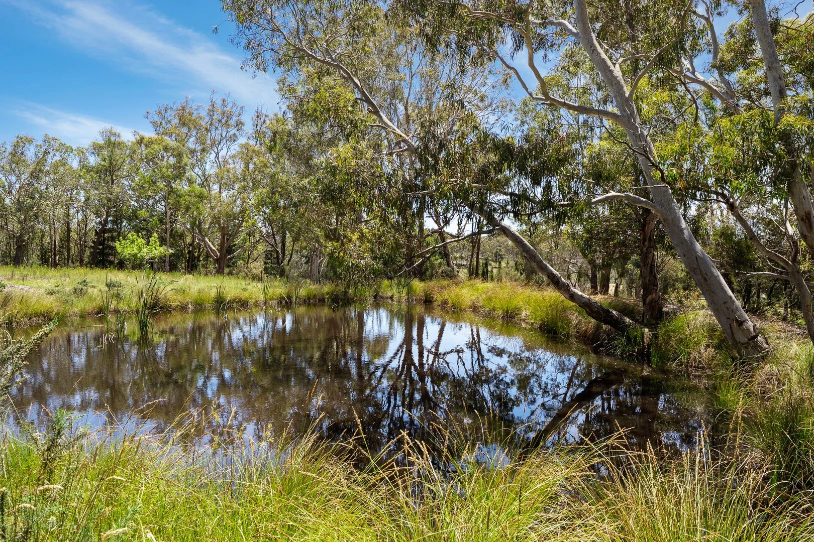 559 Mount Baw Baw Road, Baw Baw via, Goulburn NSW 2580