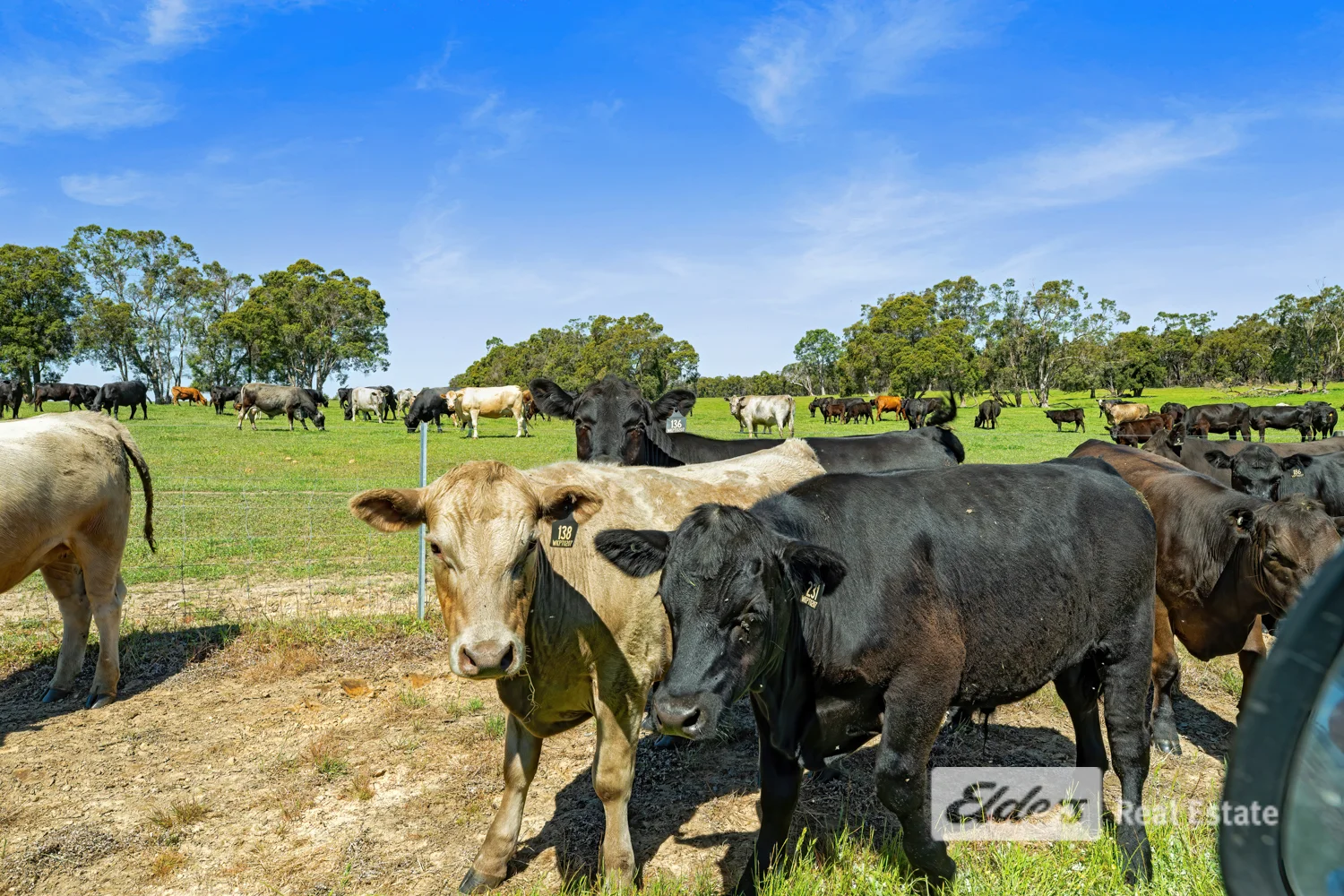 Additional image 15 of Lot 1443 Wallinger Road, Narrikup WA 6326