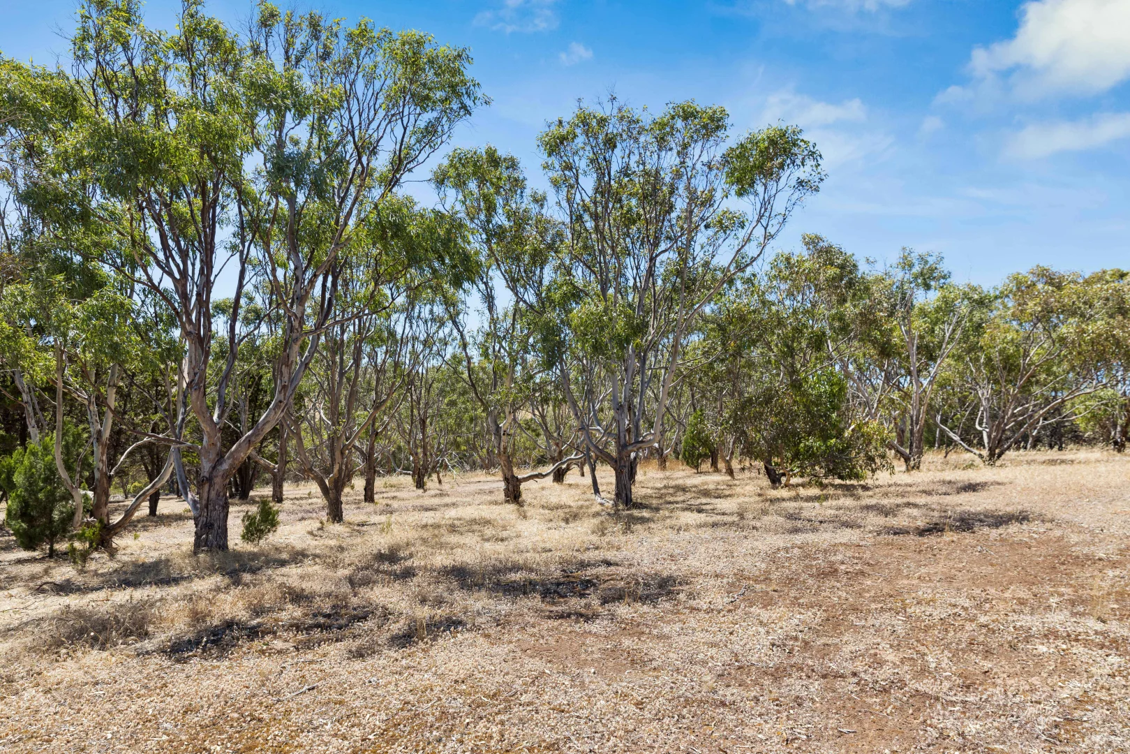 Additional image 16 of 4 St Vincent Drive, Cape Jervis SA 5204